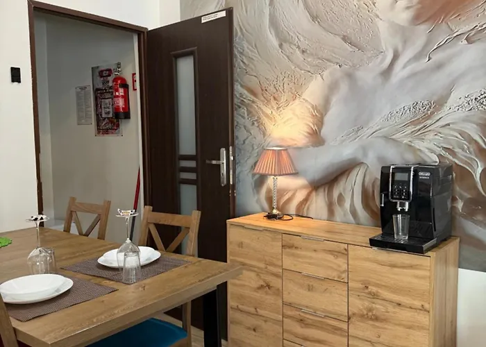 Pretty Woman Meldunek Samodzielny 24h - Chorzow Katowice Апарт-отель Бытом