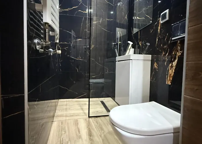 Pretty Woman Meldunek Samodzielny 24h - Chorzow Katowice 3*